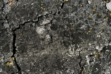 Black textured cracked surface. Loft-style background.