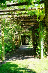Fairchild tropical botanic garden in Miami, FL, USA