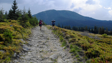 Fototapeta na wymiar Tourists travel in the mountains. Two tourists are hiking on the mountain road.