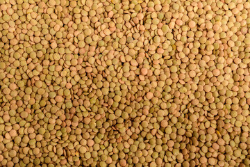 Natural background of many fresh organic green lentils small beans in warm light, top view or flat lay of organic vegan food photographed with soft focus.