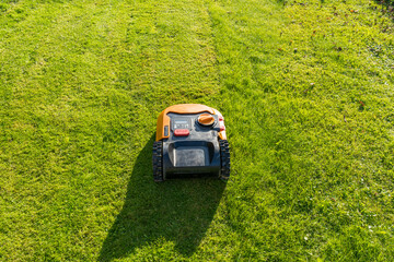 Orange robotic lawn mower at work on a green lawn under the bright sun