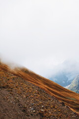 hill view. grassy mountainside. rise in height.