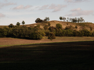 Obraz premium Course at sunset. Halftone field in the background with colorful autumn trees on the hill.
