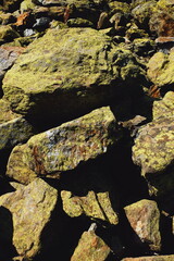 rocks. mountainside. stone and grass texture.