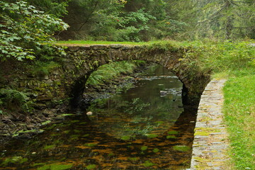 Fototapeta premium Stone bridge over Vchynicko-Tetovsky water channel in Bohemia Forest,Plzen Region,Czech republic,Europe 