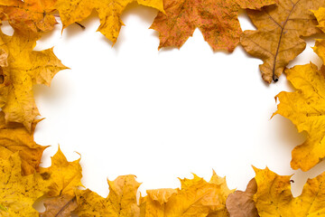 Naklejka na ściany i meble autumn leaf frame with space for text