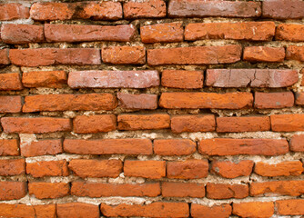 the textured background of a red brick wall. 