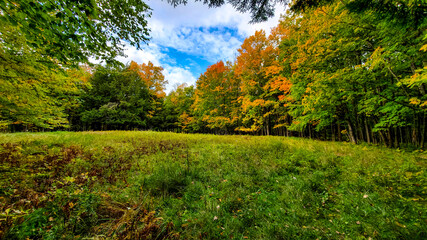 Taste of Fall from the Upper Peninsula of Michigan