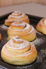Soft, fluffy buns sprinkled with powdered sugar