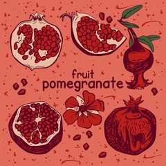 Collection with whole pomegranate fruit and wedges. Vector set for your business. Designed for packaging, postcard, wrapping paper, gift, fabric, print, banner, wallpaper, textile, advertising web.