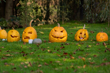 Many pumpkins Jack lantern on green grass for Halloween party.