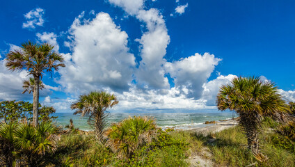Fototapeta na wymiar Big white clouds over the Gulf of Mexico at Caspersen Beach in Vencie Florida