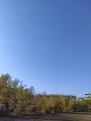 Obraz premium autumn landscape with trees