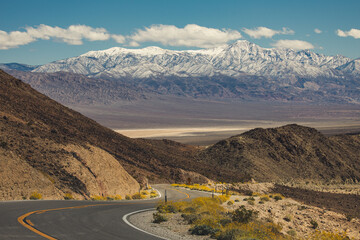 death valley national park entry road after rare rain with flowers in bloom at the end of the winter