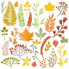 Set of colorful autumn leaves and berries. Isolated over white background. Simple flat style vector illustration. Perfect for scrapbooking, cards, party invitations, poster, tag, sticker set.