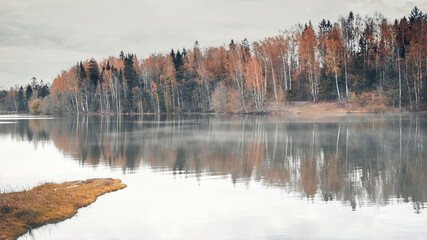 yellow birch trees in the forest shore are reflected in the morning misty lake in  autumn time