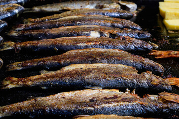 Row of mackerel fish prepared on hot hood a street food festival, cooked and ready to eat healthy seafood, beautiful orange monochrome outdoor background.