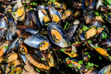 Large group of cooked black mussels with tomato and cream sauce at a street food festival, ready to eat seafood,  beautiful monochrome outdoor background.