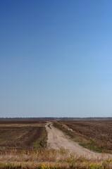 Dirt road among a plowed agricultural field.
