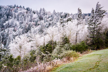 Fototapeta na wymiar Great Smoky Mountains National Park, USA