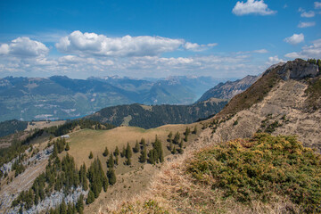 Beautiful swiss alps mountains. Alpine meadows.  