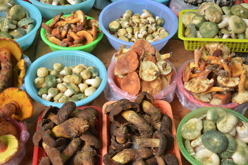 different fresh kind of mushrooms in the basket for sale in the market