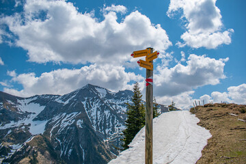 Beautiful swiss alps mountains. Alpine meadows.  