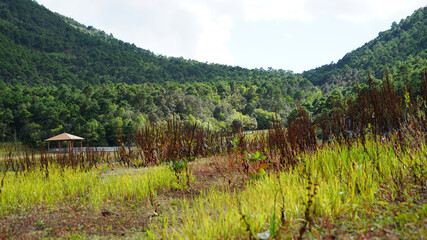 Naklejka premium landscape in the mountains