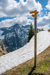 Beautiful swiss alps mountains. Alpine meadows.  