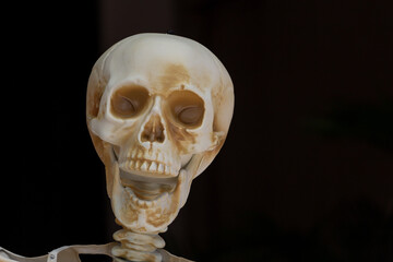 human skull isolated on black