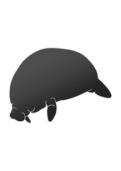 Manatee