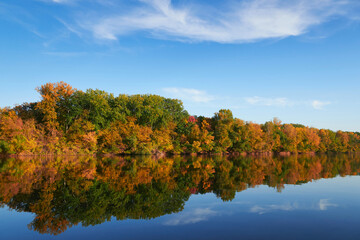 bright colorful autumn forest landscape, trees near river and blue sky