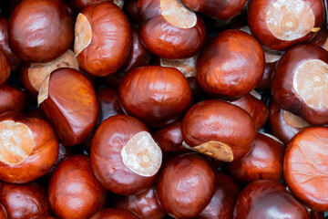 Texture of chestnuts on a pile, autumn pattern wallpaper