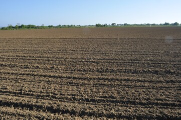 "Plowed field empty of seed