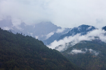 Forested mountains in cloud and mist