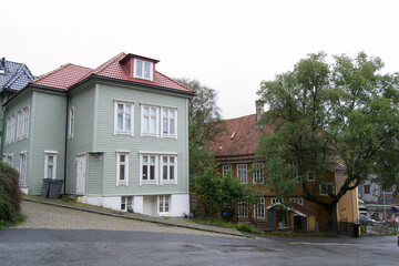 old house in the country with green facade