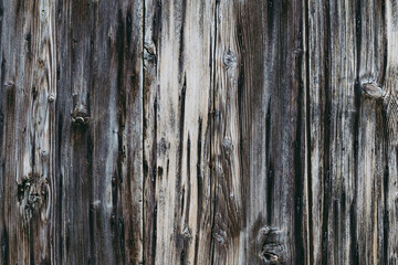 Close up sur de la texture de bois usé - Arrière plan naturel grunge