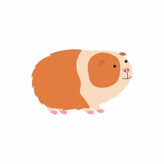 Vector illustration of cute cartoon guinea pig.