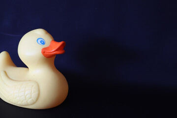 rubber duck