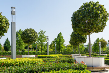 Maple alley in French garden in public landscape city park 'Krasnodar' or 'Galitsky park' . Wooden...