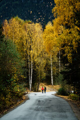 A family walks on a raod in the autumn forest. Vivid colors in nature. Shot in Hallingdal, Gol, Norway. © SteinOve