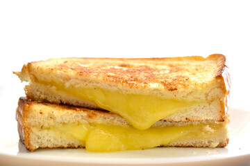 Cheese sandwich on a white plate.  Copy space is above of the sandwich. 