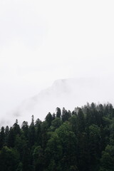 view of the mountains on a foggy summer day