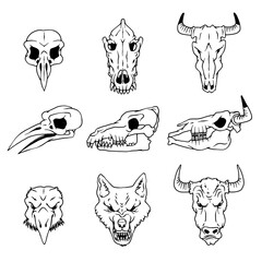Vector skulls and heads of raven, wolf and buffalo isolated illustrations.