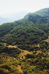 hillside.grassy landscape. mountains. forest.