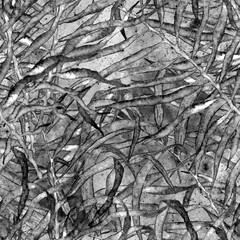 Palm leaves seamless pattern. Fashion hand drawn 