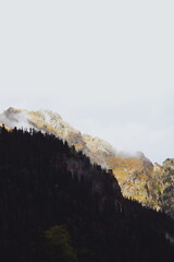 in the mountains. stone and grassy landscape. forest