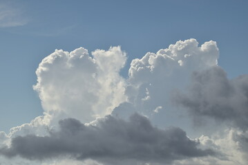 Cielo