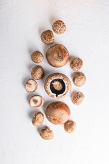 Fototapeta na wymiar Shiitake and portobello mushrooms set on white concrete background. Top view