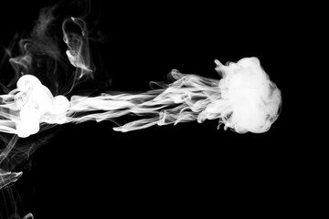 Fototapeta premium Clouds of white smoke on a black background, movement of smoke, smoke in the shape of a jellyfish